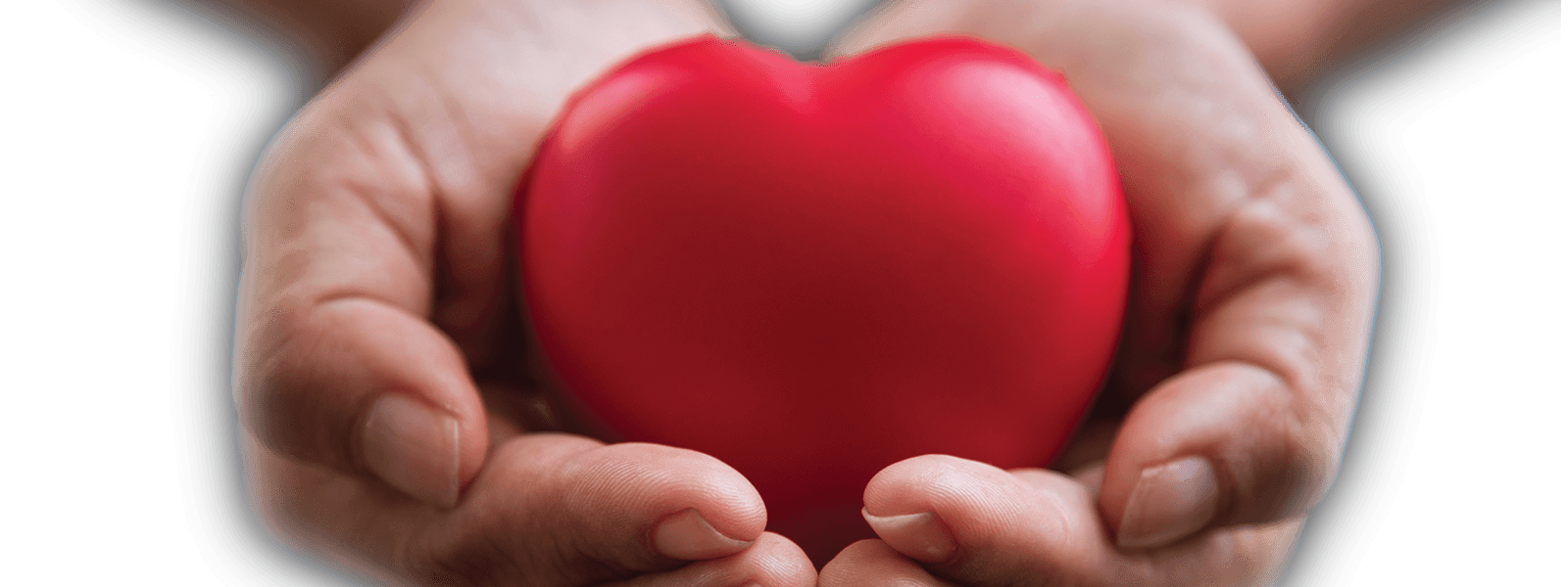 A child holds a heart. - In Color