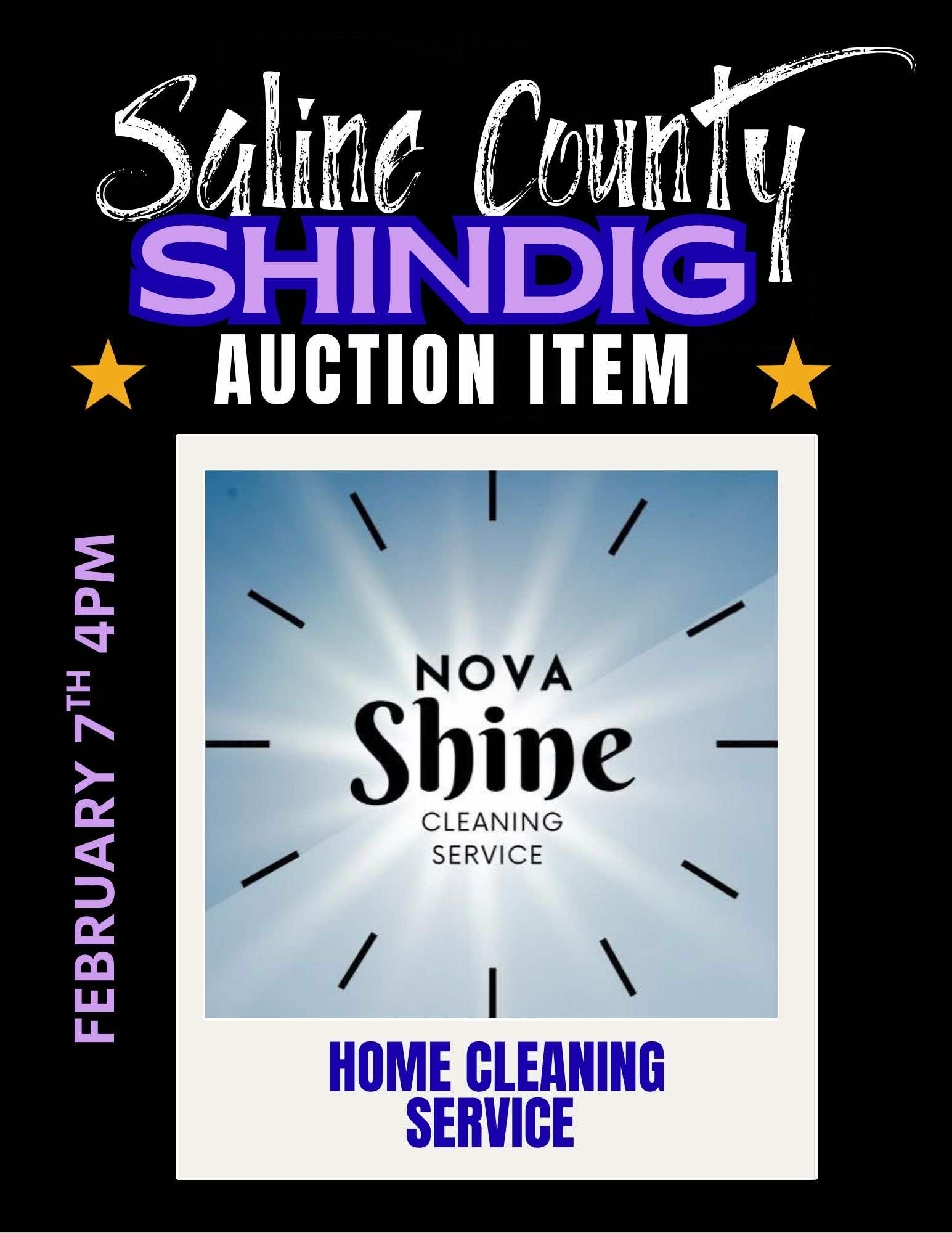 Auction Item - Home Cleaning Service